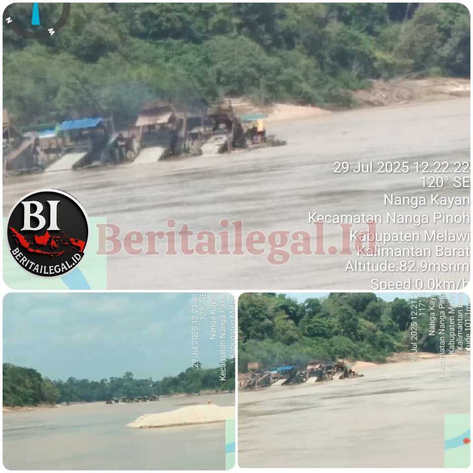 InShot_20250729_171750271