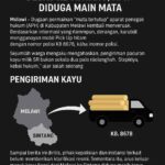 Eksklusif Investigasi: Kayu SR dari Melawi Melenggang Bebas ke Sintang, APH Diduga Main Mata file_0000000077b8623081b7a312370a6d9a