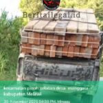 Buat Mengelabui Masyarakat, Peredaran Kayu Ilegal di Melawi Menggunakan Mobil Pick-up Sangat Meresahkan