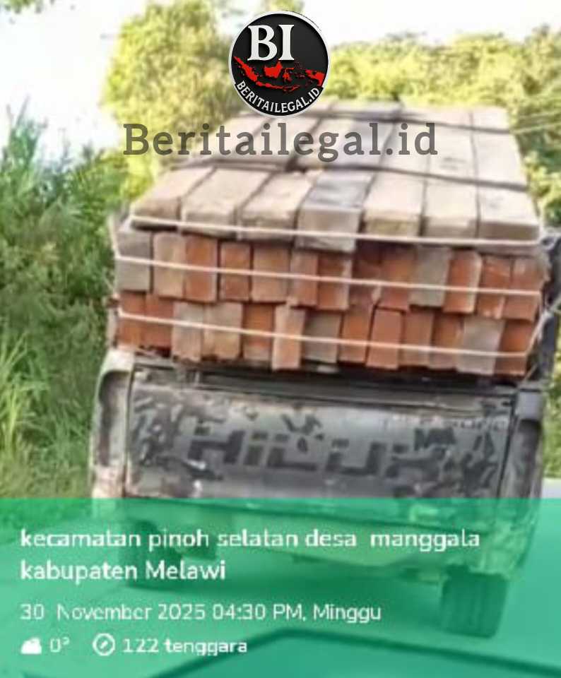 InShot_20251130_221210483