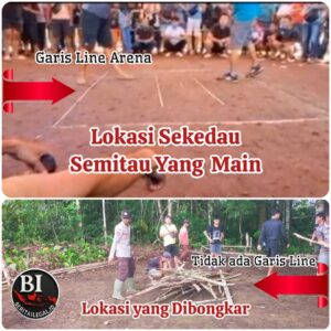 InShot_20251222_143318642