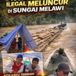 file_0000000074ec7208ae4010df4b77690e